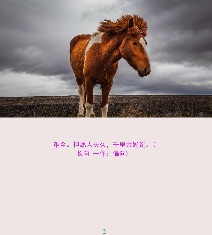  Insert picture description here 