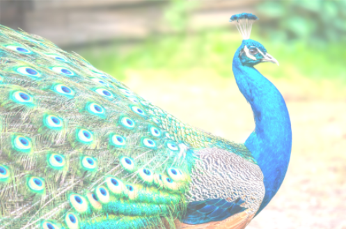 Foundation of deep learning: 8 Convolution and pooling