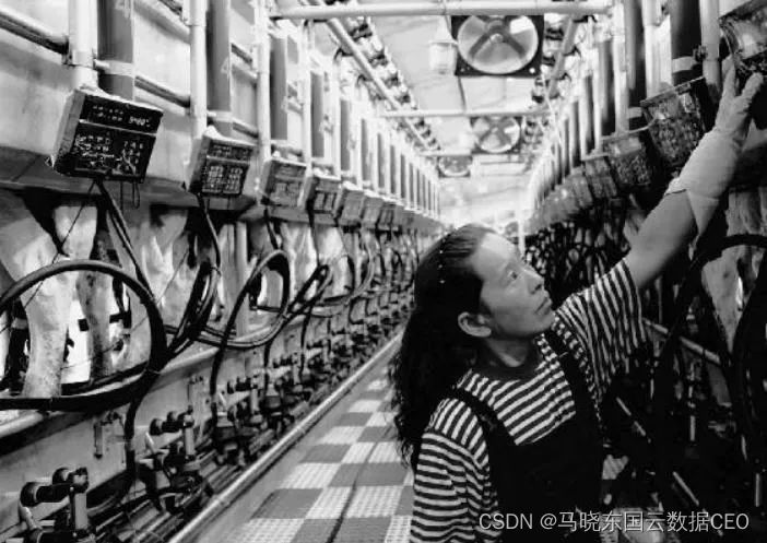 晴空一“鹤”排“云”上:以数为翅的中国飞鹤