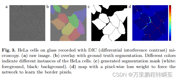 Insert picture description here