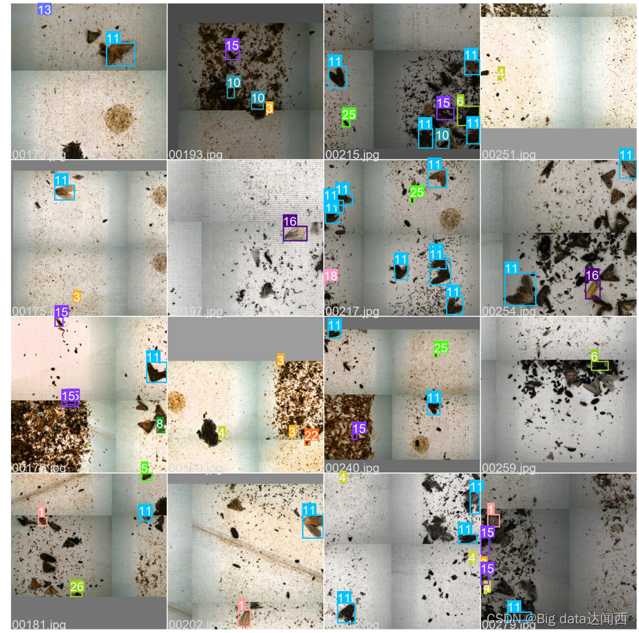  Insert picture description here 