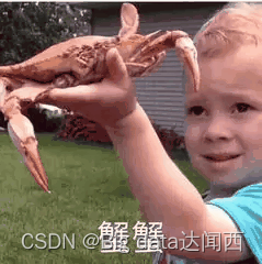  Insert picture description here 