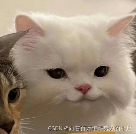 ThreadLocal原理及源码解析(一步一步点进去,不要背了,学思想)