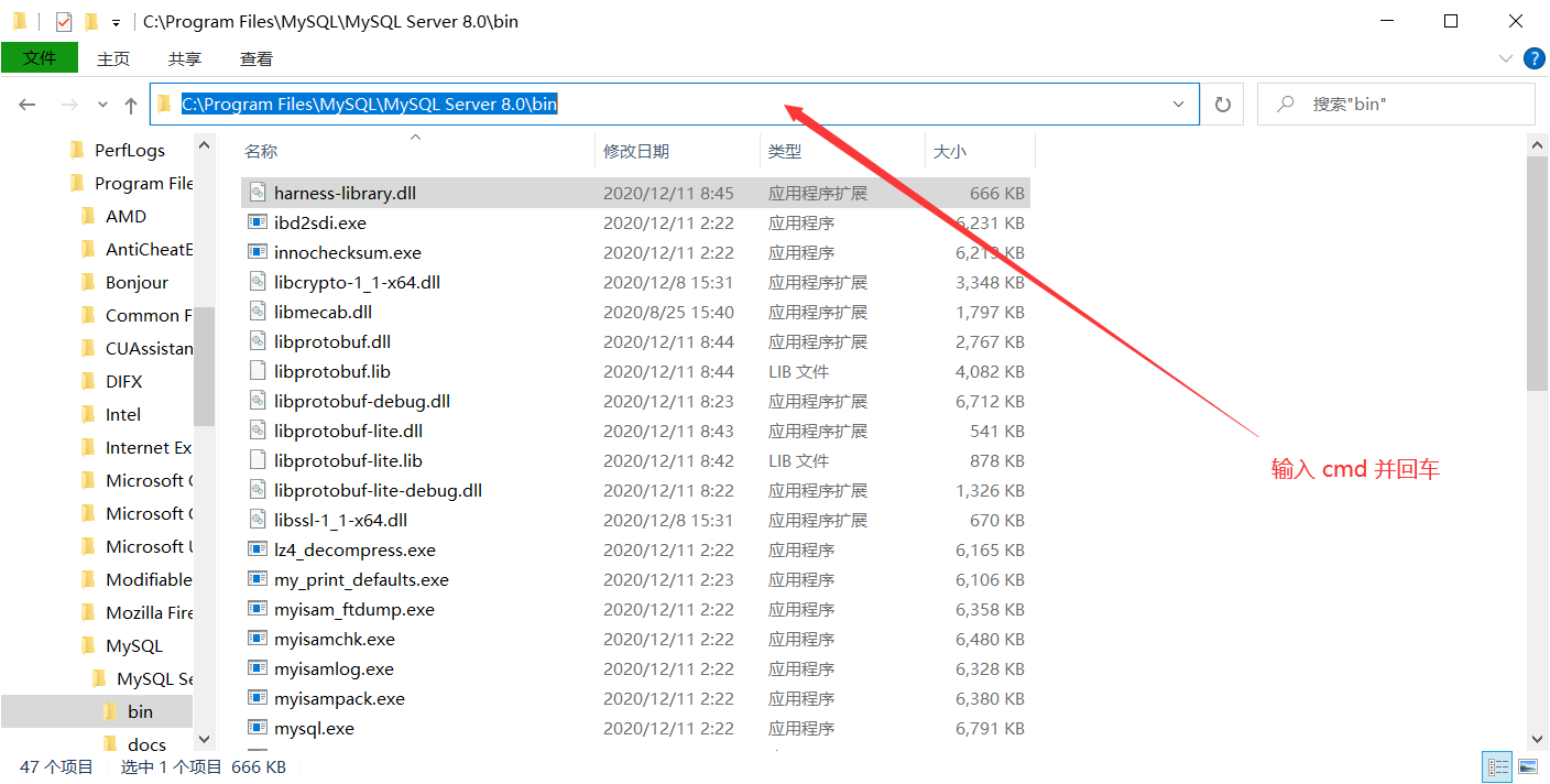 Log in and operate the database with the command line